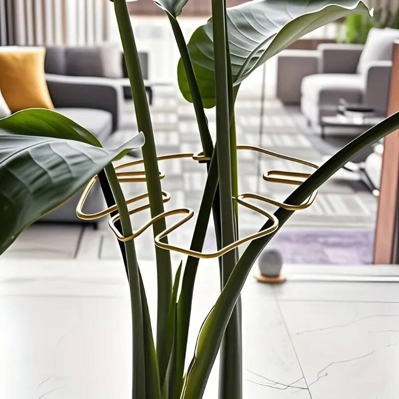 1Pc Large Monstera Plant Support Frame Sturdy Climbing Stems