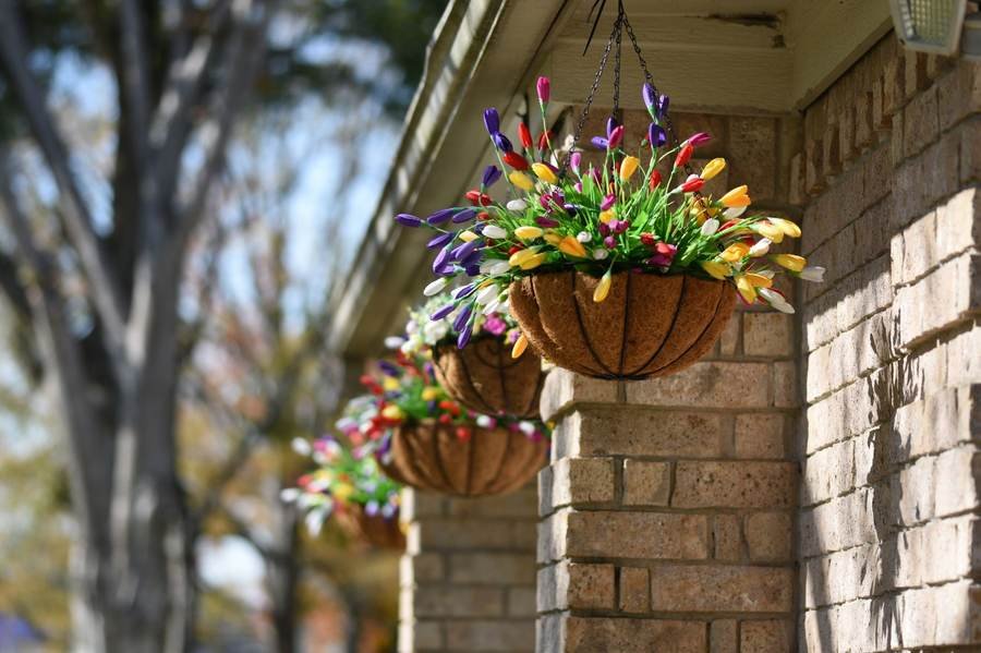 The All-Summer Bloomer