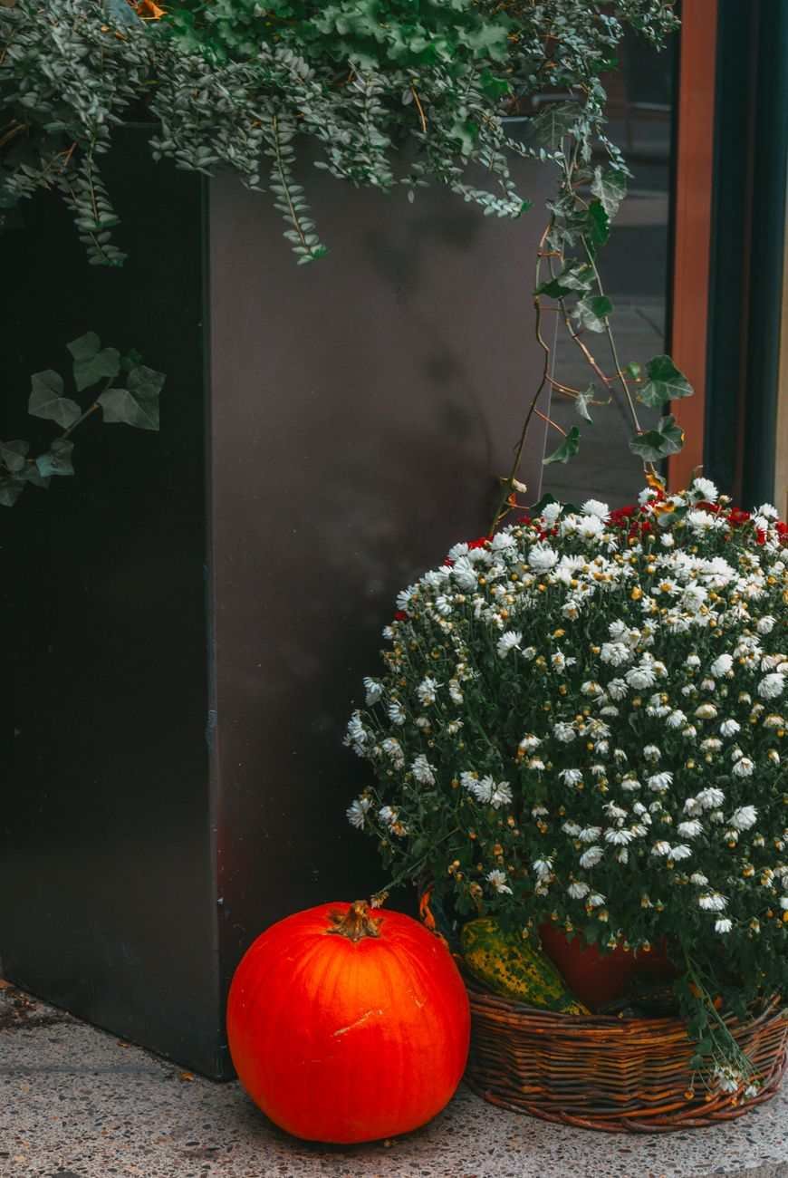 The Amber Porch